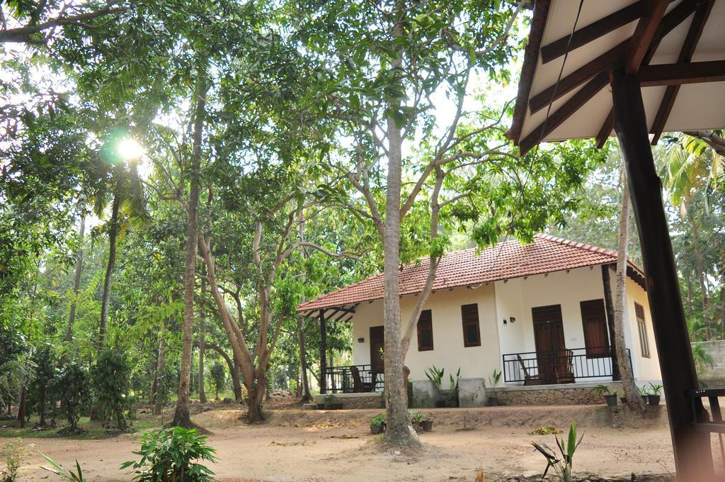 Melsiripura Soba Lanka Holiday Resort מראה חיצוני תמונה