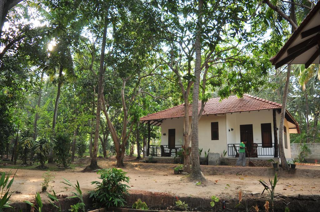 Melsiripura Soba Lanka Holiday Resort מראה חיצוני תמונה