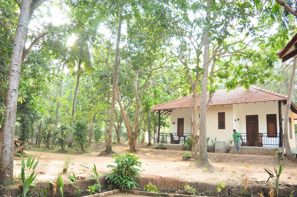Melsiripura Soba Lanka Holiday Resort מראה חיצוני תמונה