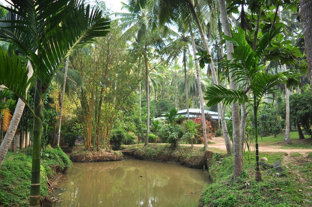 Melsiripura Soba Lanka Holiday Resort מראה חיצוני תמונה