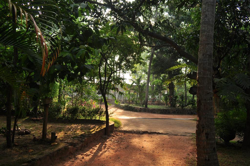 Melsiripura Soba Lanka Holiday Resort מראה חיצוני תמונה