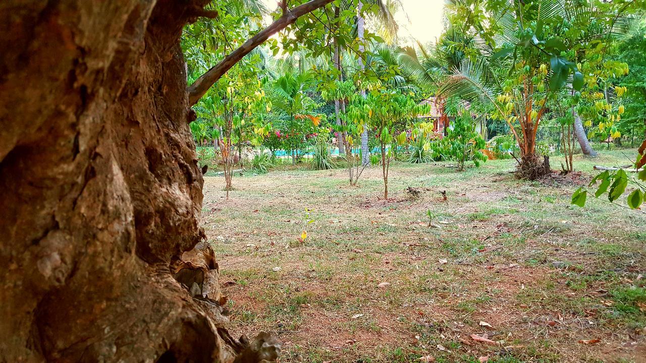 Melsiripura Soba Lanka Holiday Resort מראה חיצוני תמונה
