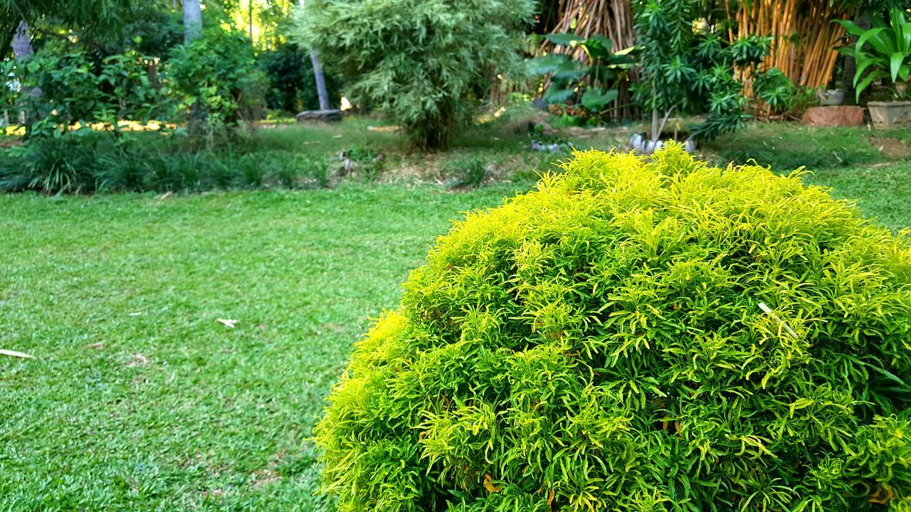 Melsiripura Soba Lanka Holiday Resort מראה חיצוני תמונה