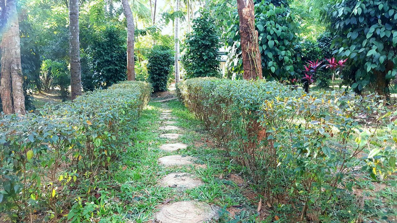 Melsiripura Soba Lanka Holiday Resort מראה חיצוני תמונה