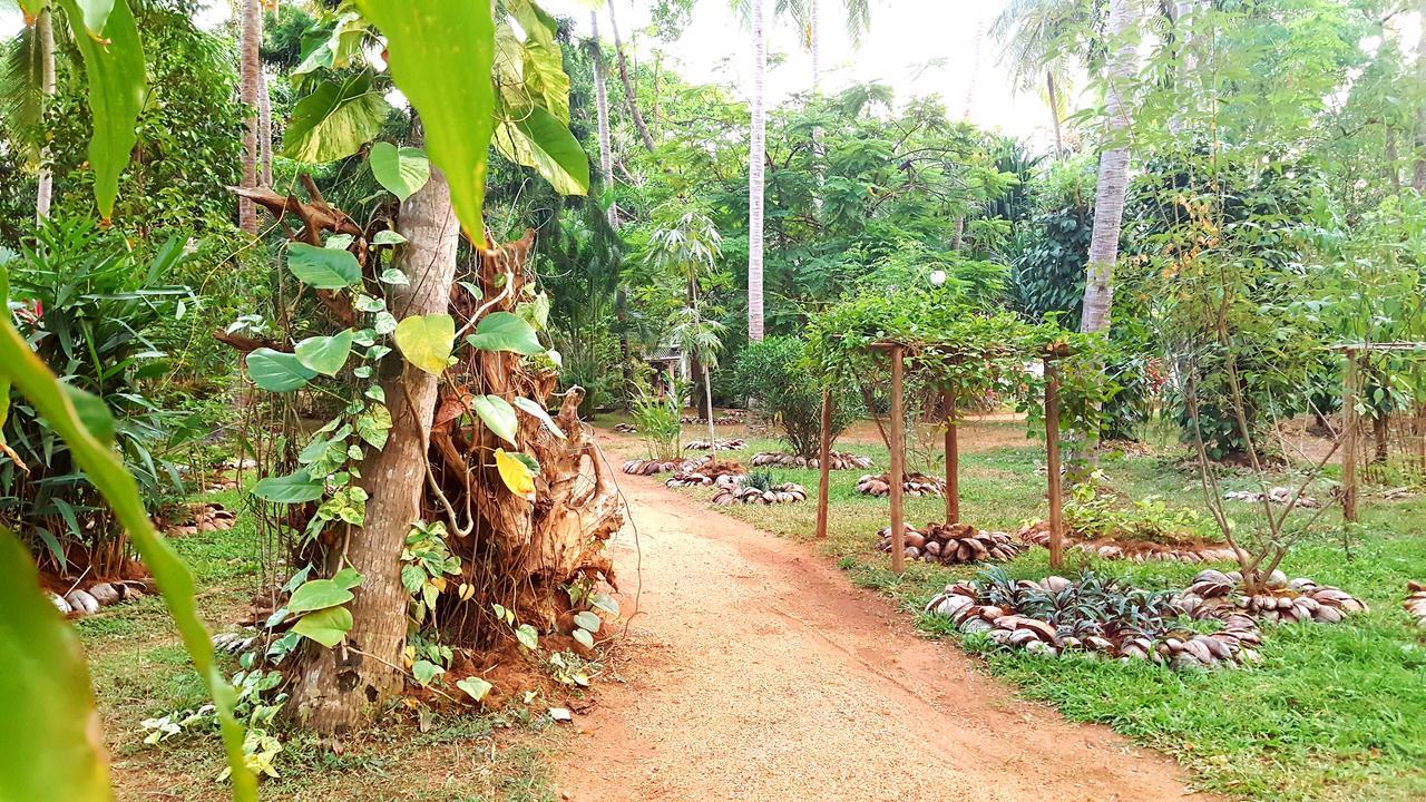 Melsiripura Soba Lanka Holiday Resort מראה חיצוני תמונה