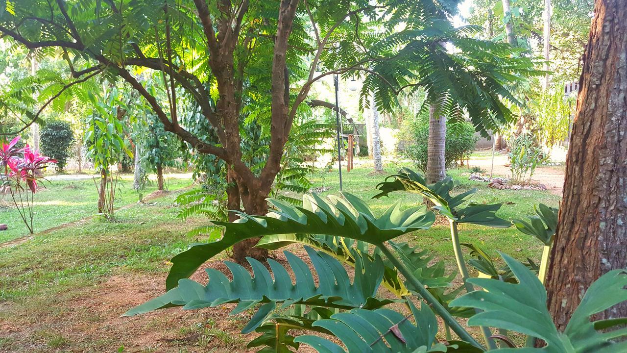 Melsiripura Soba Lanka Holiday Resort מראה חיצוני תמונה