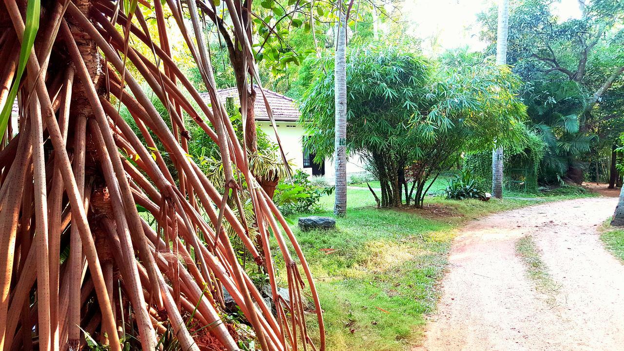 Melsiripura Soba Lanka Holiday Resort מראה חיצוני תמונה