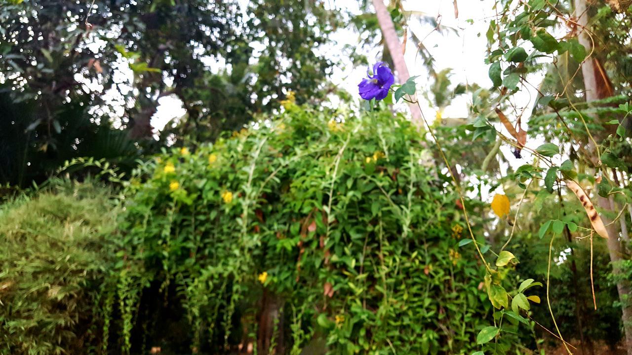 Melsiripura Soba Lanka Holiday Resort מראה חיצוני תמונה