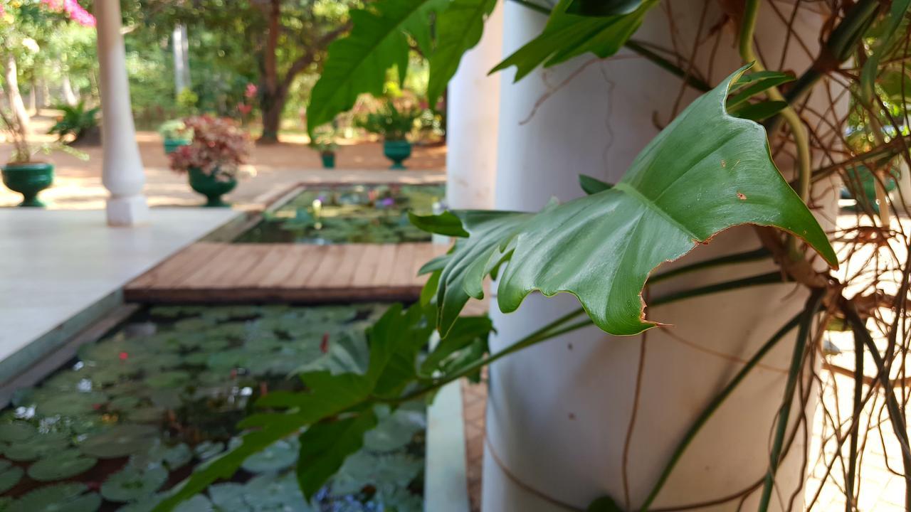 Melsiripura Soba Lanka Holiday Resort מראה חיצוני תמונה