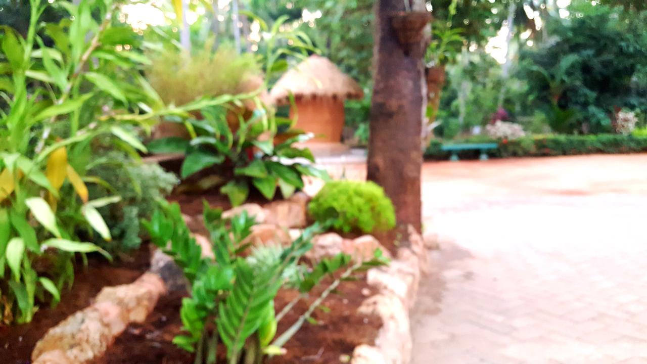 Melsiripura Soba Lanka Holiday Resort מראה חיצוני תמונה