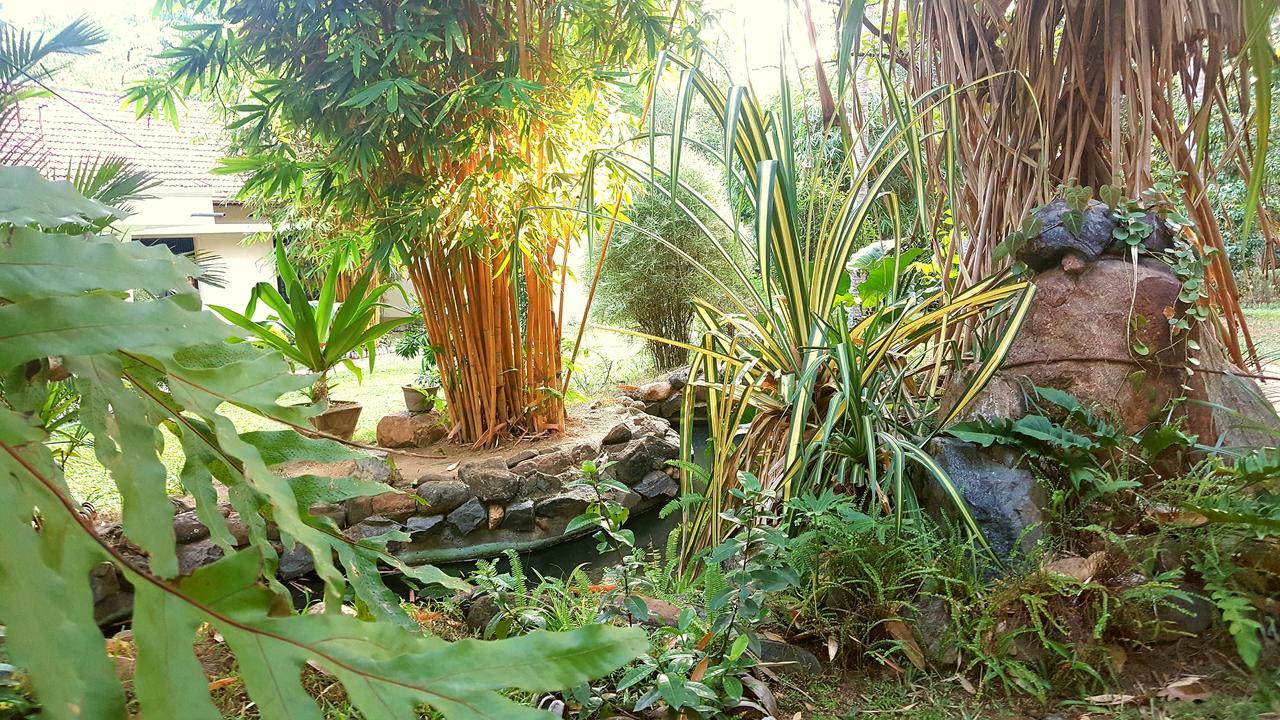 Melsiripura Soba Lanka Holiday Resort מראה חיצוני תמונה