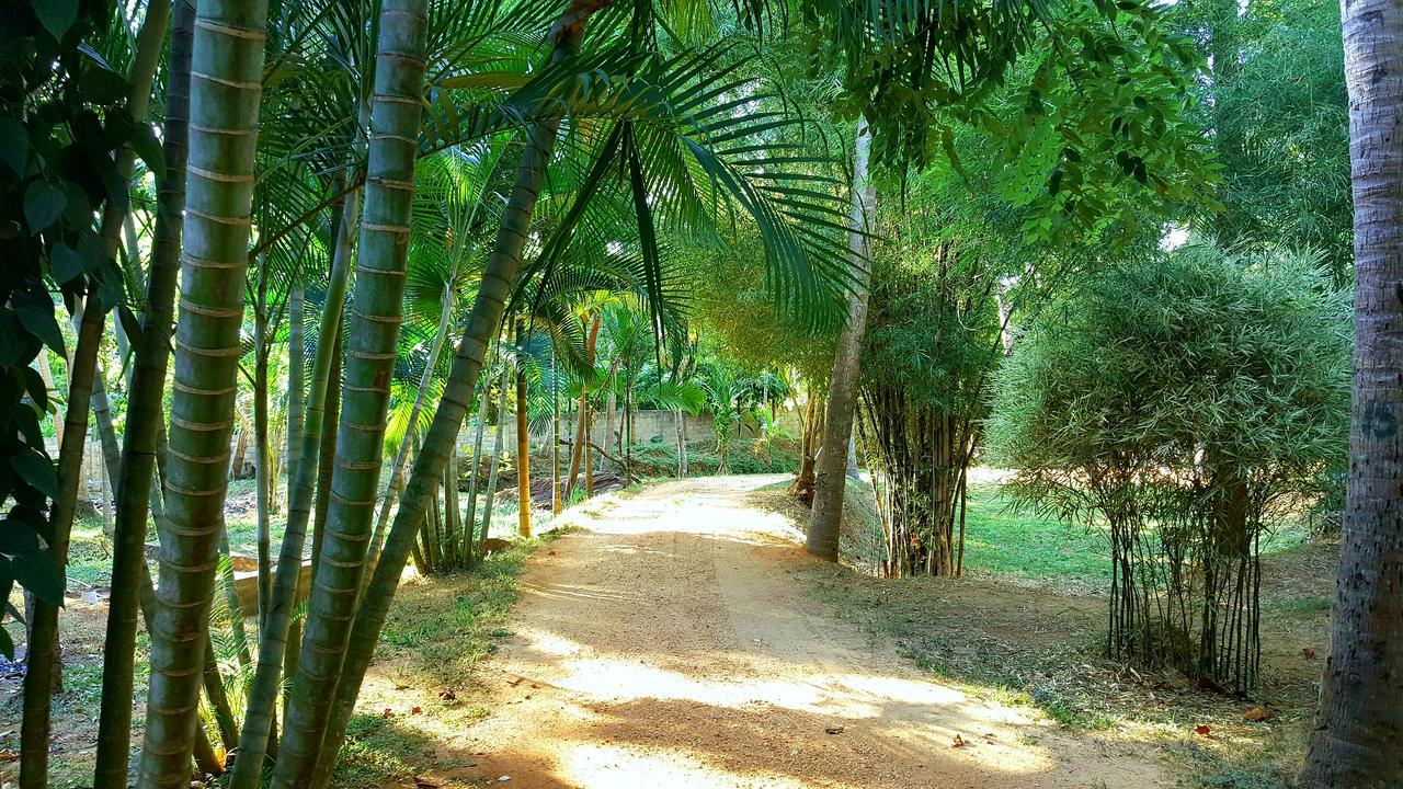 Melsiripura Soba Lanka Holiday Resort מראה חיצוני תמונה