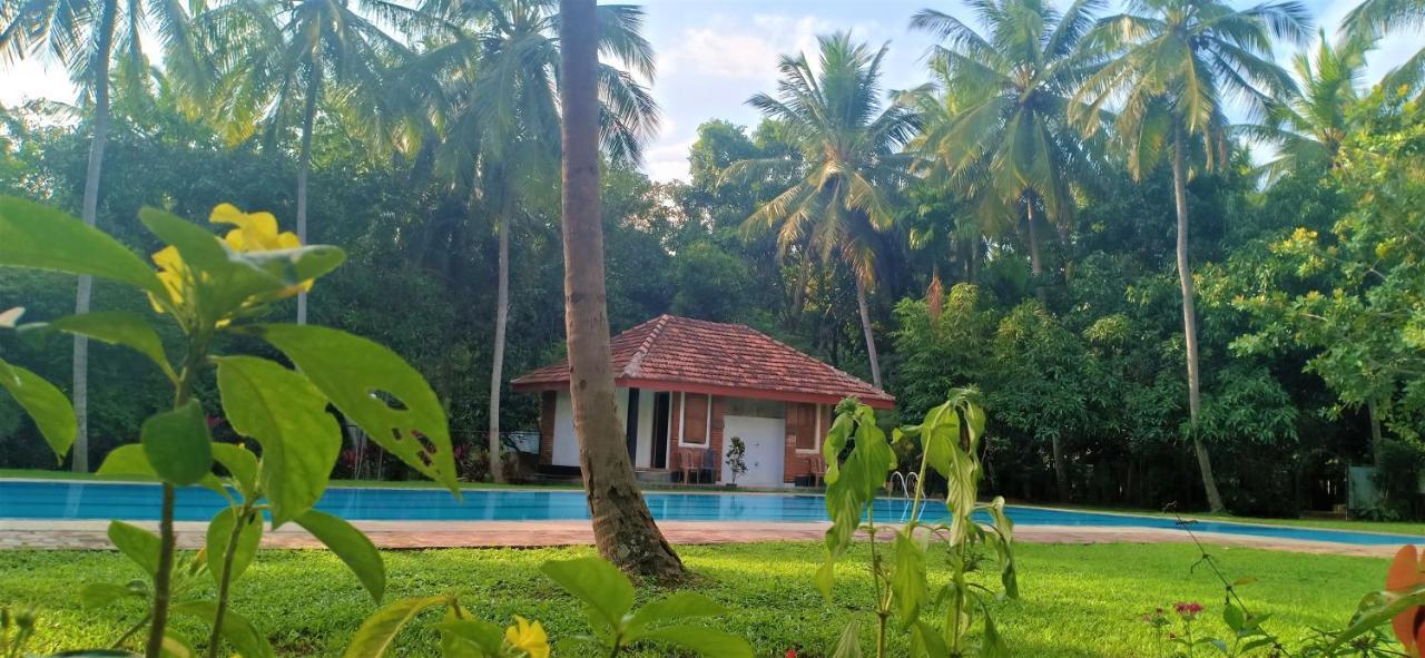 Melsiripura Soba Lanka Holiday Resort מראה חיצוני תמונה